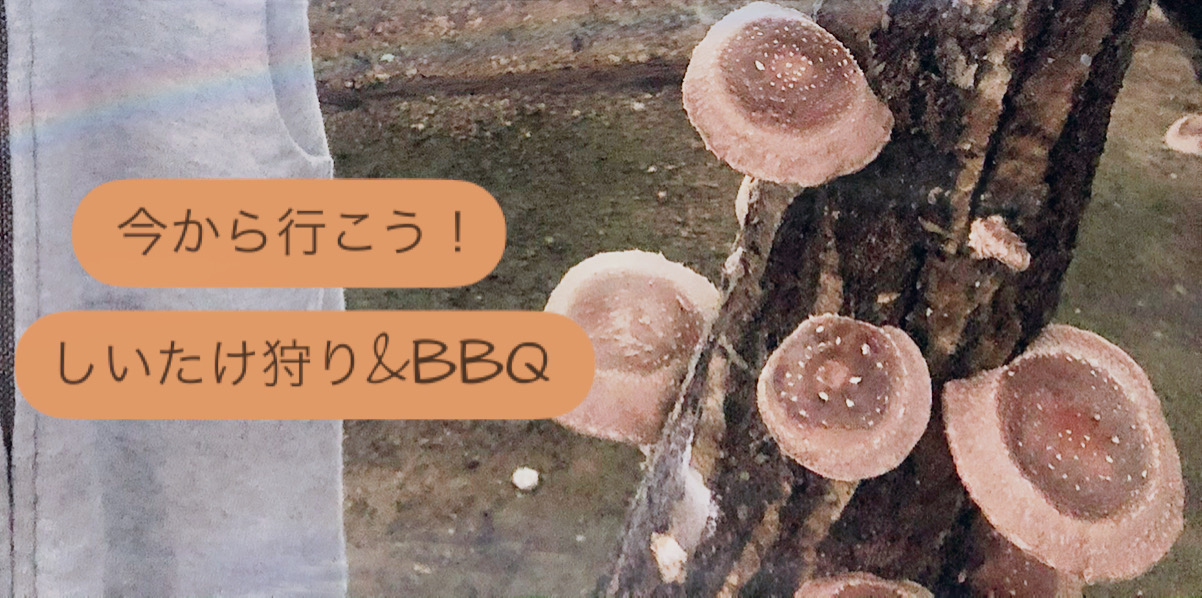 しいたけ狩り＆BBQで経験値アップ