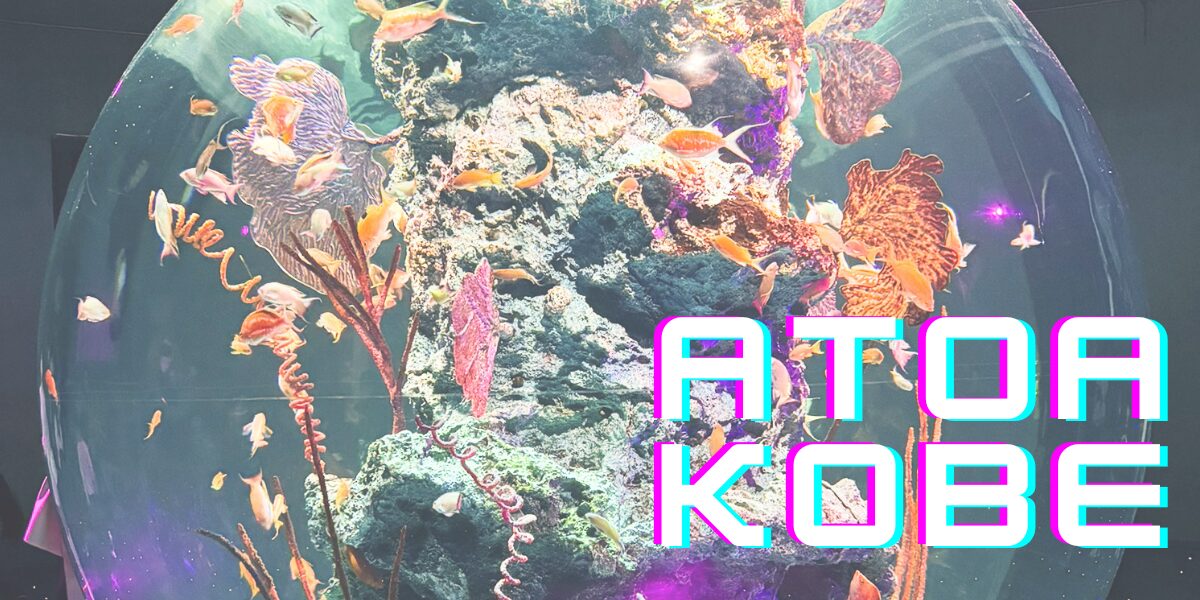 映える水族館"atoa(アトア)"は高くて子連れ向けじゃない？実際に行った感想 おススメ駐車場情報も