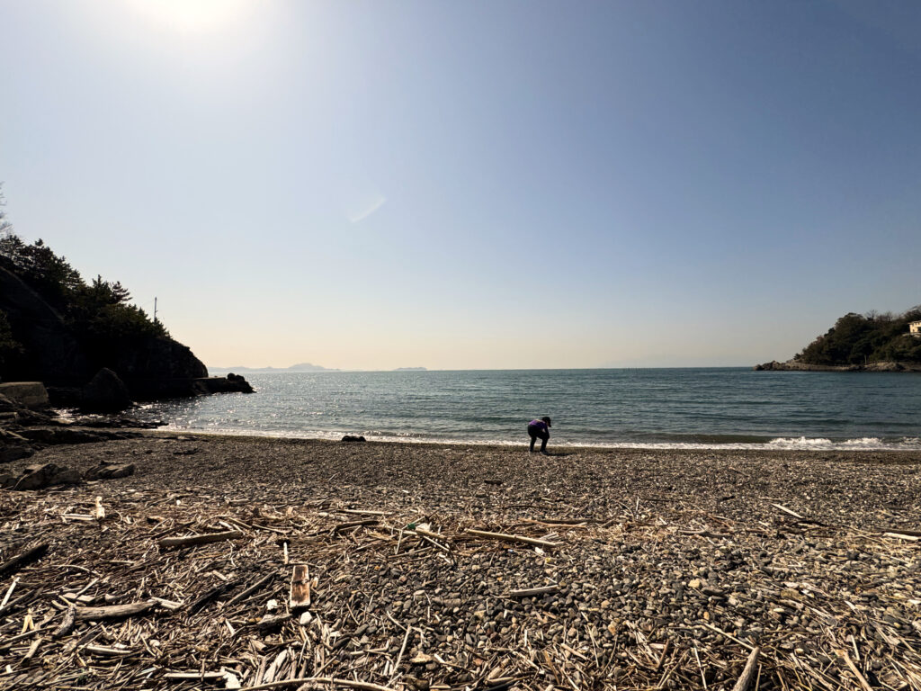海岸でシーグラス探し
